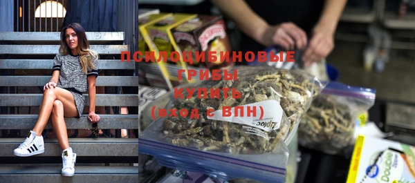 ПСИЛОЦИБИНОВЫЕ ГРИБЫ Сосновоборск